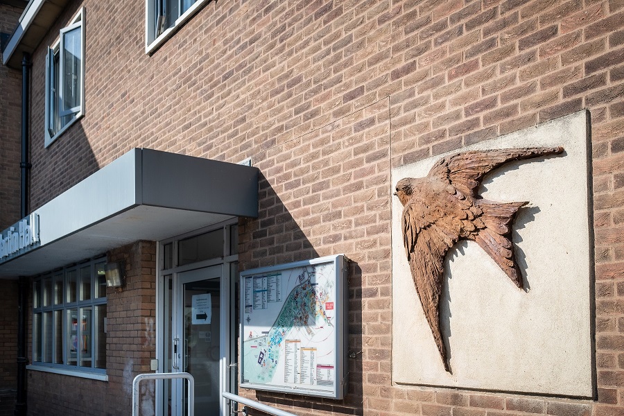 Relief of a house martin in fight, on side of brick building